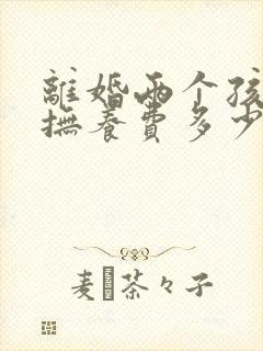 离婚两个孩子的抚养费多少钱一个月