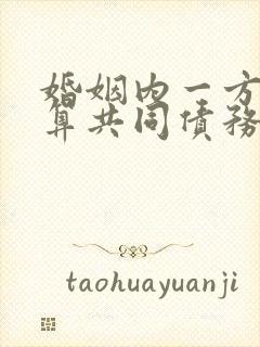 婚姻内一方借钱算共同债务吗