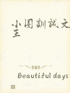 小圈训诫文双女主