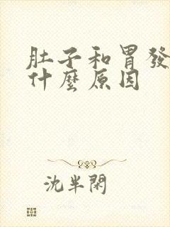 肚子和胃发胀是什么原因