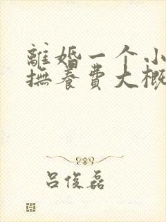 离婚一个小孩的抚养费大概多少钱