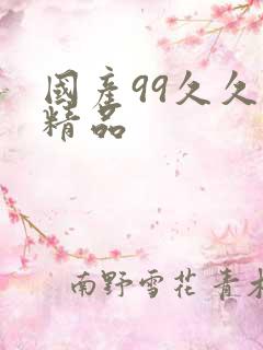 国产99久久久精品