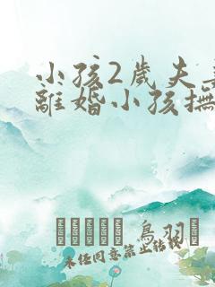 小孩2岁夫妻要离婚小孩抚养权归谁呢