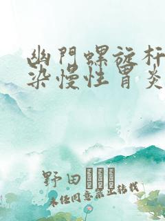 幽门螺旋杆菌感染慢性胃炎