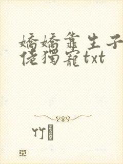 娇娇靠生子被大佬独宠txt