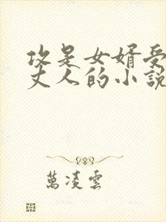 攻是女婿受是老丈人的小说