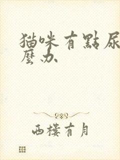 猫咪有点尿闭怎么办