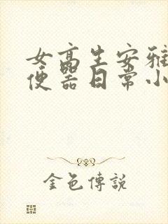 女高生安雅的肉便器日常小说