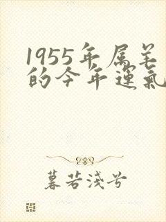 1955年属羊的今年运气如何