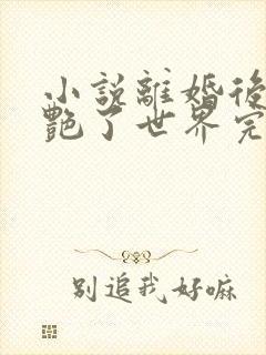 小说离婚后她惊艳了世界完结