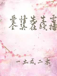 爱情先生电视剧全集在线播放