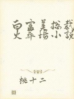 白富美总裁追夫火葬场小说