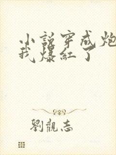 小说穿成炮灰后我爆红了