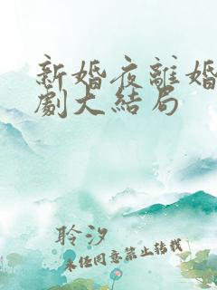 新婚夜离婚时短剧大结局