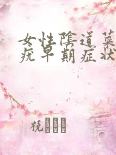 女性阴道菜花状疣早期症状图片