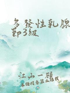 多发性乳腺有结节3级