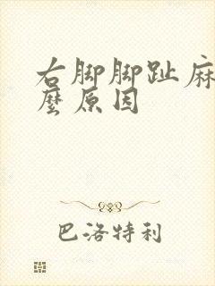 右脚脚趾麻痛什么原因