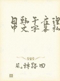 日韩午夜理论片中文字幕私人影院