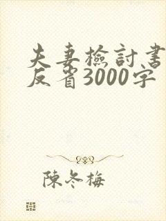 夫妻检讨书自我反省3000字