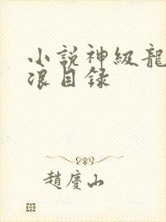 小说神级龙卫沈浪目录