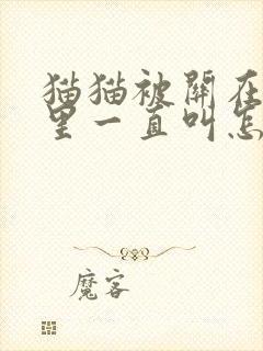 猫猫被关在笼子里一直叫怎么办