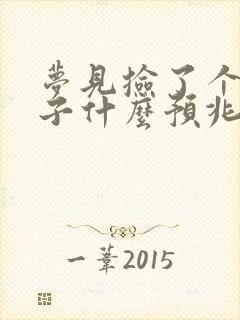 梦见捡了个男孩子什么预兆