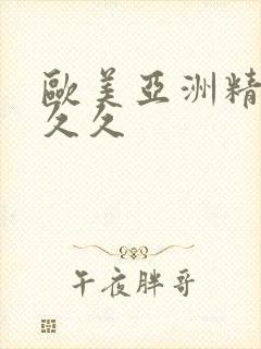 欧美亚洲精品久久久