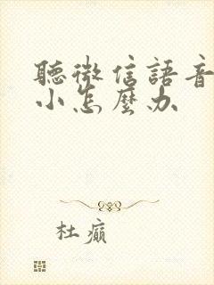 听微信语音声音小怎么办