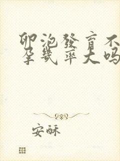 卵泡发育不好怀孕几率大吗