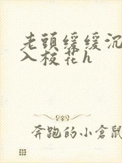 老头缓缓沉腰进入校花h