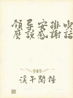 领导安排吃饭怎么说感谢话