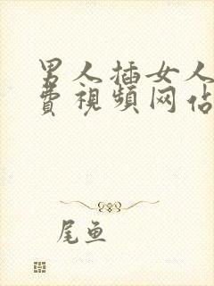 男人插女人的免费视频网站