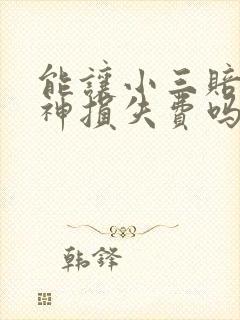 能让小三赔偿精神损失费吗