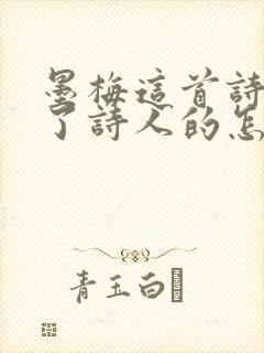 墨梅这首诗表达了诗人的怎样思想感情