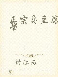 正宗臭豆腐哪里学