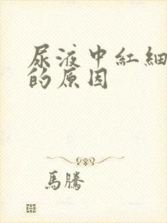 尿液中红细胞高的原因