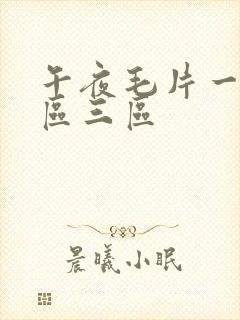 午夜毛片一区二区三区