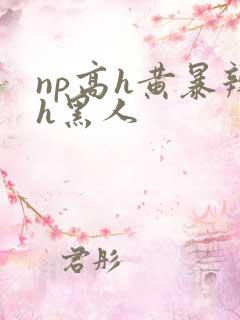 np高h黄暴辣h黑人