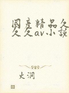 国产精品久久久久久av小说