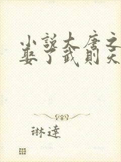 小说大唐之开局娶了武则天阅读