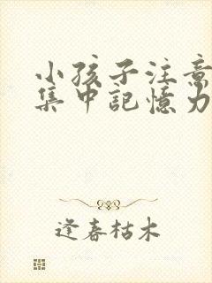 小孩子注意力不集中记忆力差怎么回事