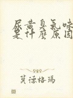 尿黄臭气味很重是什么原因