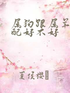 属狗跟属羊的婚配好不好