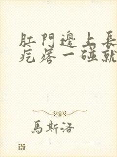 肛门边上长一个疙瘩一碰就疼