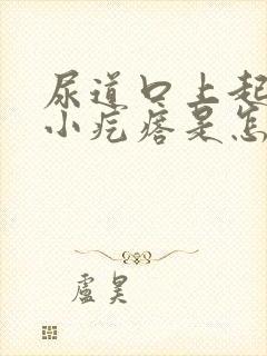 尿道口上起了个小疙瘩是怎么回事