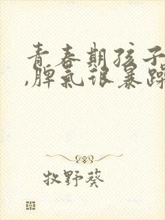 青春期孩子叛逆,脾气很暴躁的原因