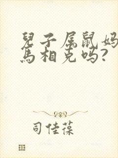 儿子属鼠妈妈属马相克吗?