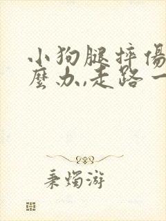 小狗腿摔伤了怎么办,走路一瘸一的