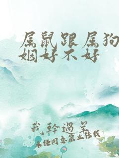 属鼠跟属狗的婚姻好不好