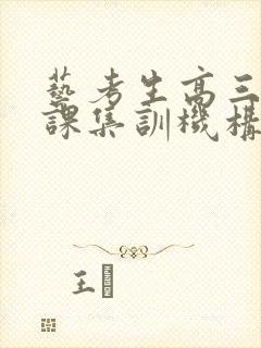 艺考生高三文化课集训机构